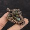 Dragon Bloodstone Pendant Copper Wire Wrapped Gemstone Pendant Copper Design Jewelry Handmade Boho Style Pendant Wire Wrap Jewelry For Gift