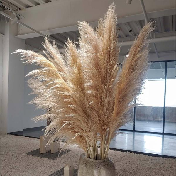 50 Pcs Dried Pampas Grass, Artificial Plant Reed Rabbittail Bouquet Home Decoration Boho Wedding Decoration