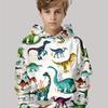 Kids Clothes Boys Hoodies Long Sleeve 3D Dinosaurs Print Children Spring Fall Clothes Casual Stylish Outdoor Boy Clothes Tops