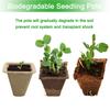 10/50pcs Seed Starter Tray Plants Growing Tray Degradable Seedling Germination Starter Tray for Flower Vegetable Garden Supplies
