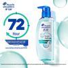 Head & Shoulders Anti-Dandruff Oil Control Volumizing Shampoo