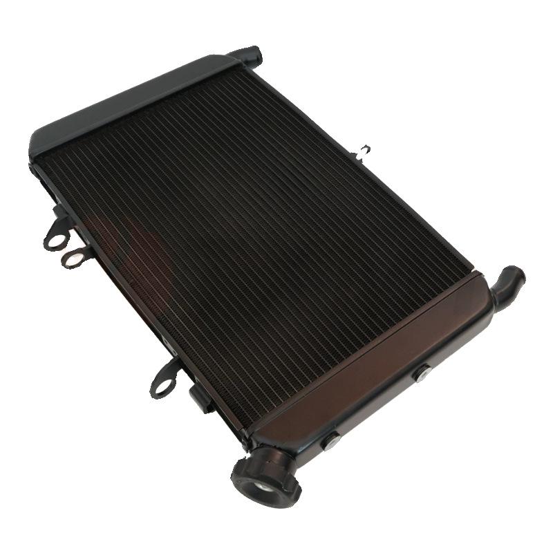 Compatible Yamaha MT-09 FZ09 2014-2020 Motorcycle Radiator Assembly