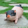 Имитация Фигурка Свиньи Орнаменты Садовые Декоративные Аксессуары Свинья Смола Скульптура Модель Ручная Работа Декор для Дома Гостиной Подарок