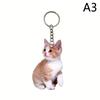 1Pcblack And White Cat Keychain, 2D Acrylic Cat Pendant,Double-Sided Design, Animal Key Ring Charm For Backpacks & Gifts