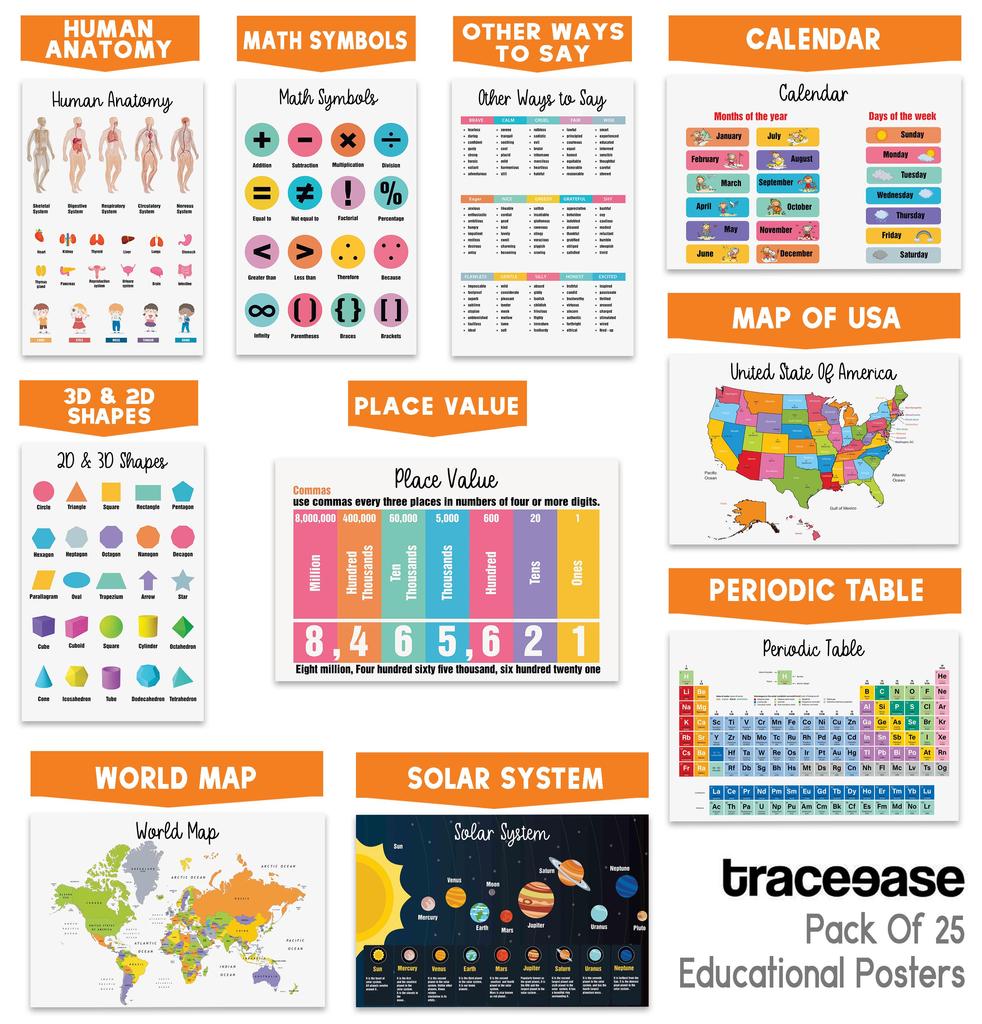 Traceease Образовательный плакат для начальной школы, упаковка из 25 больших ламинированных детских обучающих плакатов размером 11 x 17 дюймов