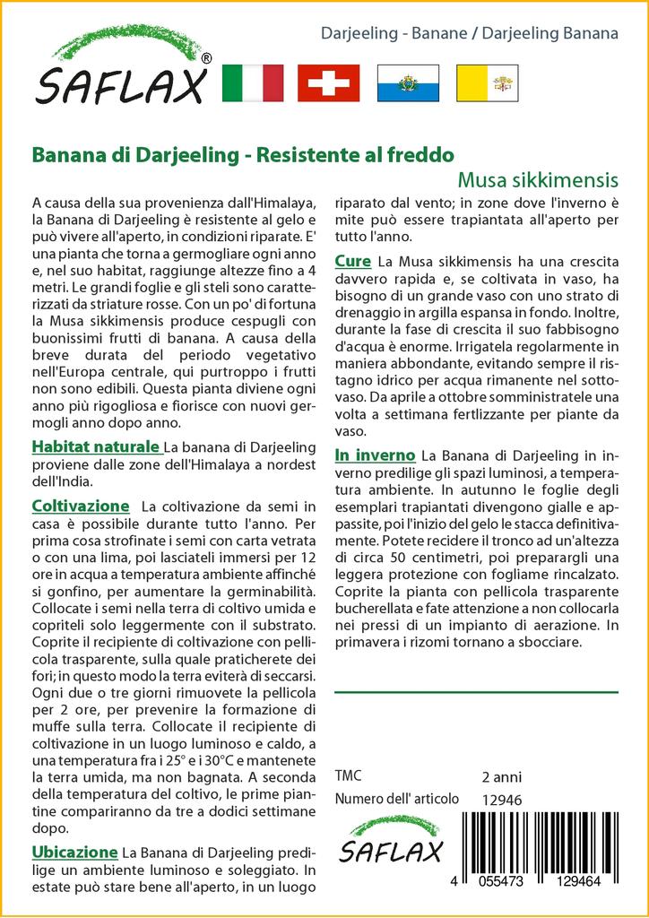 SAFLAX Банан Дарджилинг - 5 семян - Musa sikkimensis