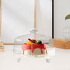 Acrylic Cake Stand with Dome Pan Pastry Display Server Round Covered Holder Plate for