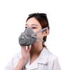 Противопылевая маска BaoWeiKang 3700 со сменным фильтром для промышленного использования