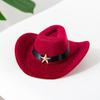 1 Set Cat Cowboy Cowboy Hat Costume Adjustable