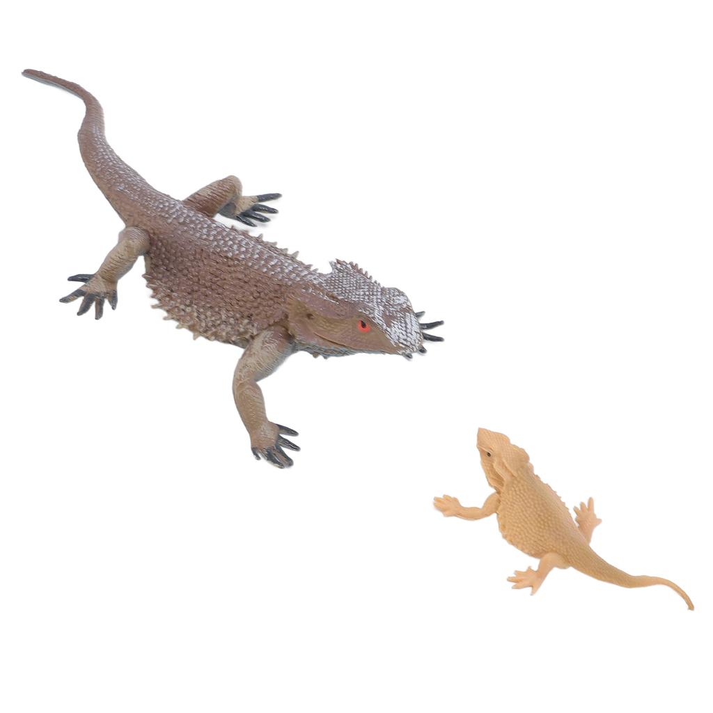 Lizard Life Cycle Figurine Toy Educational Interactive Lifelike Simulated Reptile Animal Figurine Se