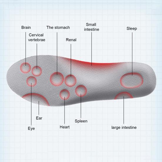 1 Pair Breathable Sports Insoles U-Heel Arch Support Orthopedic Inserts Soft Running Shoe Sole Shock Absorption Foot Pads