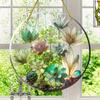 20CM 2D Flat Acrylic Window Decor - Round Succulent Sunlight Catcher for Bedrooms, Gardens or Interiors, Wall Decorations