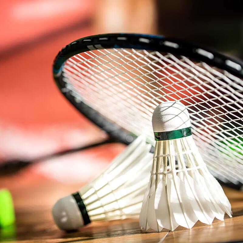 Deli & Angonett F2201 Durable Goose Feather Badminton Shuttlecock