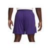 Nike Логотип Вышивка Шнуровка Средняя посадка Спортивные шорты Мужские шорты Фиолетовый HJ8103-547