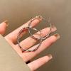 Trendy Silver Hoop Earrings for Women Twisted Wave Metal Loop Earrings Bohemian Hiphop Party Ear Jewelry