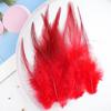 20Pcs57 Big Red Feather Diy Jewelry Accessories Clothing Handicrafts Decorative Materials