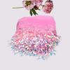 10 Yards 6 Inches Mesh Fringe Trim DIY Craft Tassel Fringe Lace Trim Ribbon  Home Accessory
