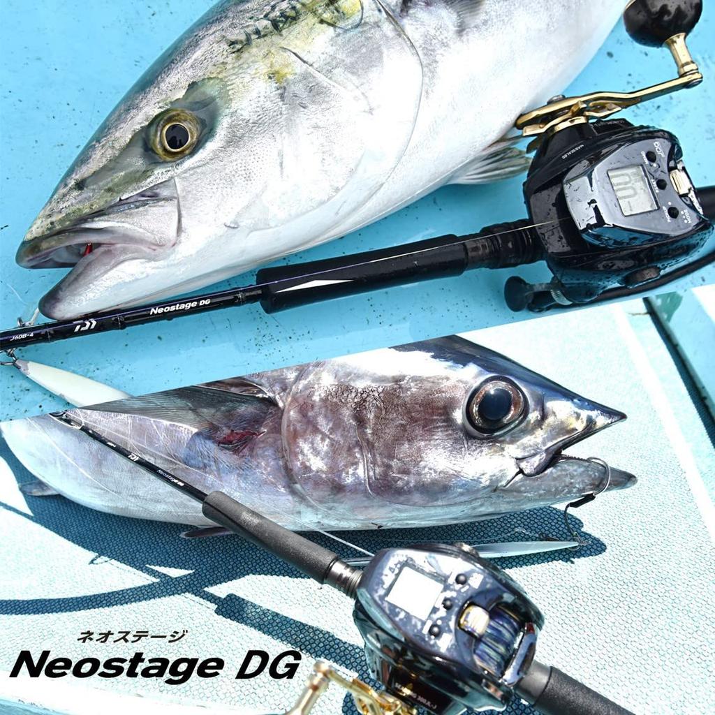 Daiwa Neostage DG Electric Jigging 60B-4 Черный