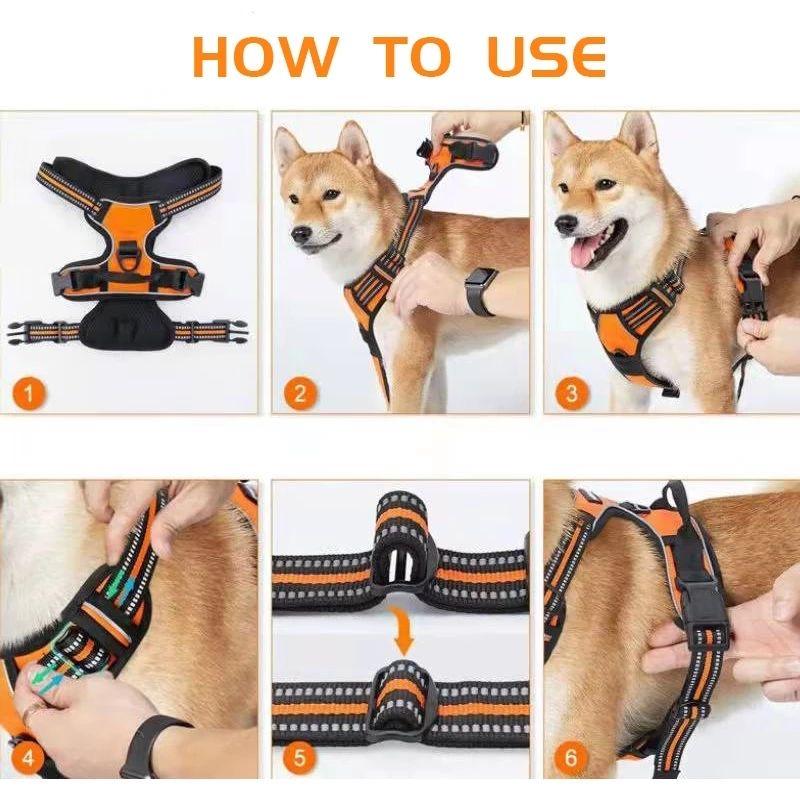 Dog Necklaces, Harnesses, Vests, Leashes, Leather Puppy Accessories, Medium and Small Dog Set, All for Pets