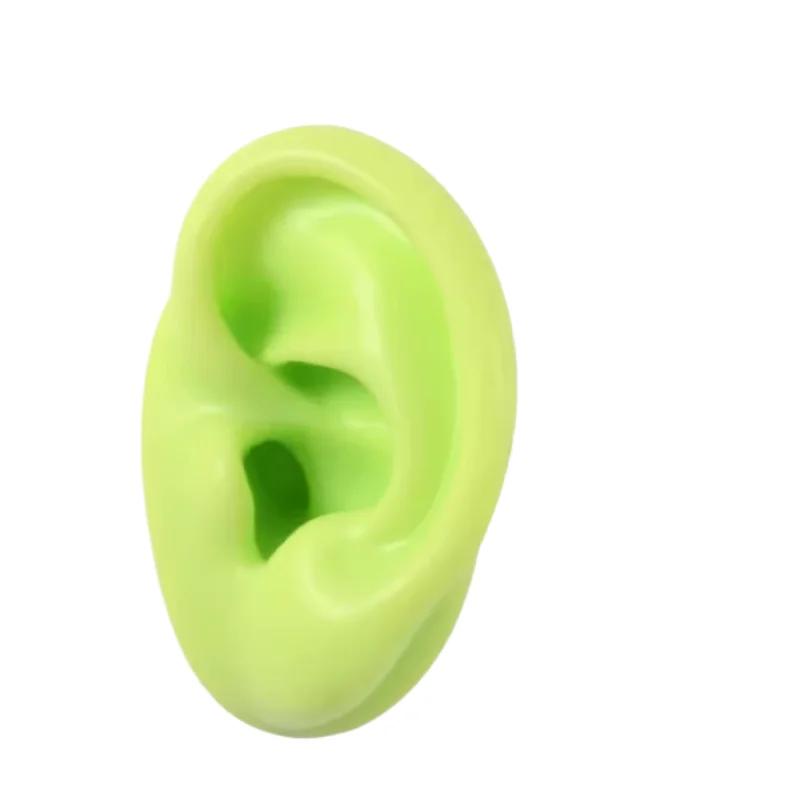 5D Силиконовая Модель Искусственного Уха, Имитирующая Настоящее, Пирсинг Сережек, Пирсинг, Пирсинг, Обучение, Слуховой Аппарат, Практика Акупунктуры, Реквизит