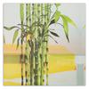 Canvas Print Bamboo Leaves Zen Spa
