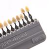 Tish Oqartirish Qo'llanmasi Dental 16 Rangli Tish Modeli Plastinasi Go'zallik