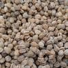 Gaegap Ginseng Seeds, Camphor Ginseng Seeds, Wild Ginseng, Wild Ginseng Seedlings, 500g, 500g, 1 Unit