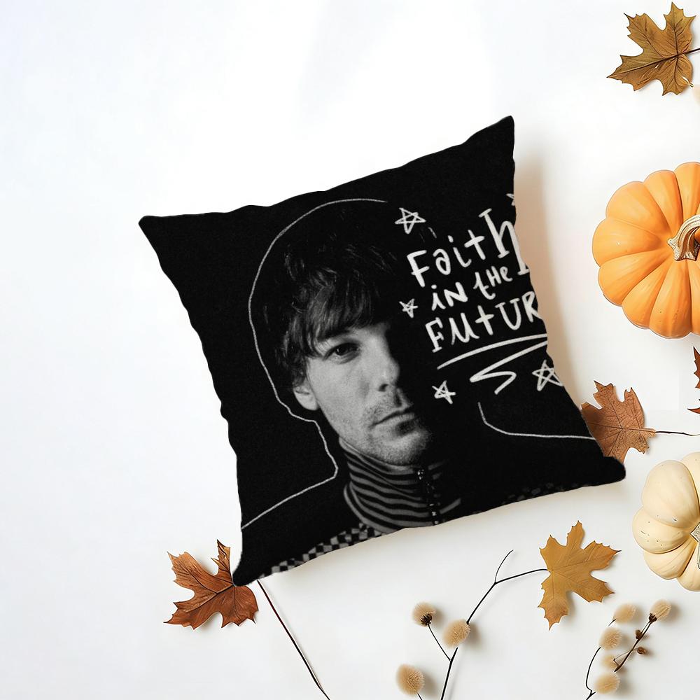 Louis Singer Tomlinsons Cushion Cover Iceland Washable Linen Soft for Daily Sofa Bed Home Room Decor