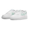 Nike Кроссовки Nike Air Force 1 Low Mint Swoosh GS CT3839-105