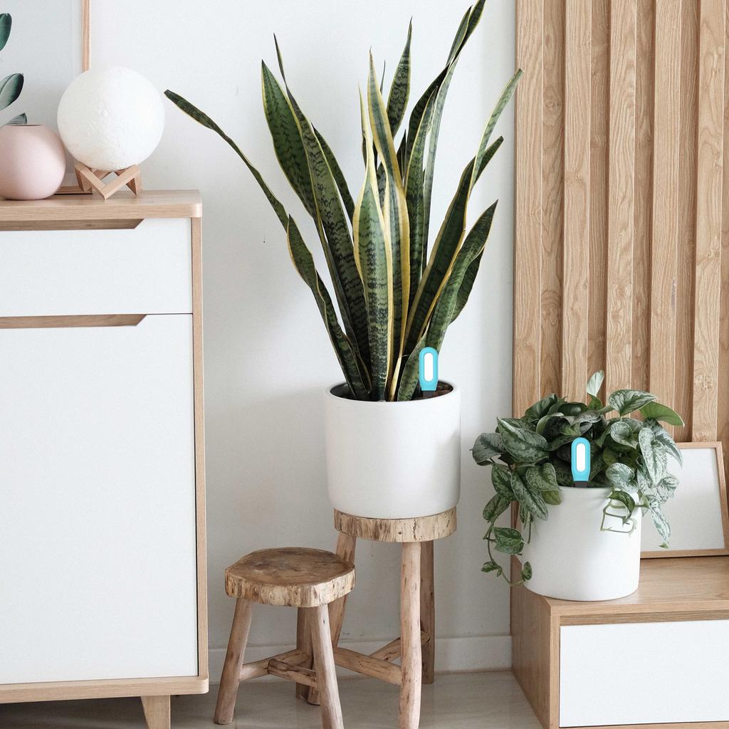 Tuya BT Intelligent 2in1 Soil Moisture Ambient Temperature Test Meter Indoor Potted Plant Measuring