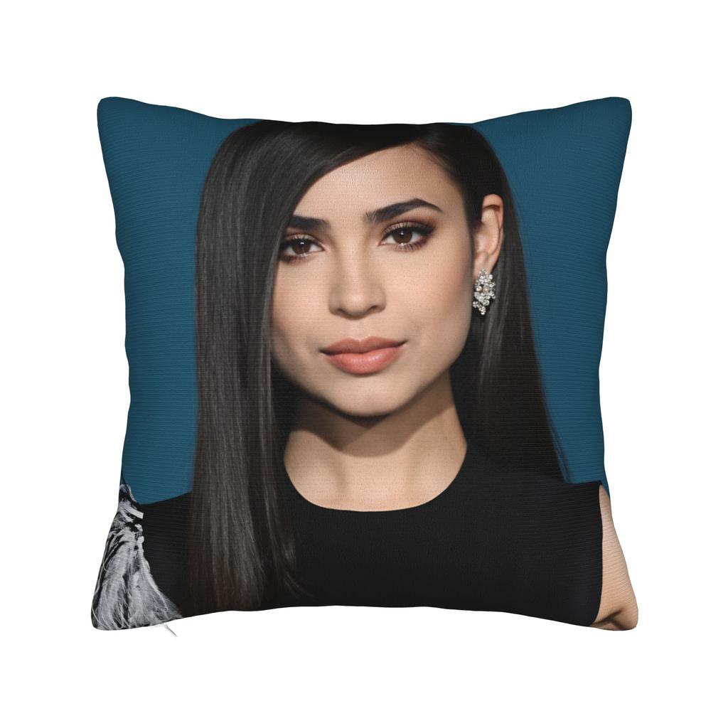 SSofia CCarson Pillow Cover Novelty Pillow Case For Living Room Bed Chair Soft Pillowcases Birthday Gift
