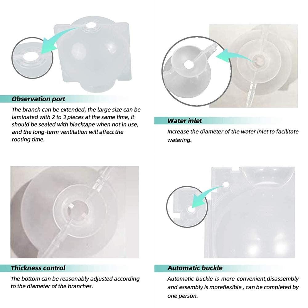 10 шт. Прозрачная многоразовая коробка для укоренения растений, шар для размножения, коробка для прививки, прозрачная