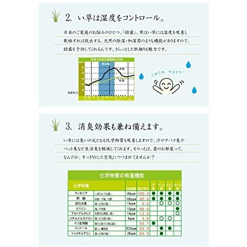 IKEHIKO Kitchen Mat, Made in Japan, Igusa Grass, Polka Dot Pattern, F Drop, Green, Approx. 80 x 270 cm, #8230930