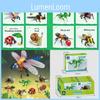 Series Kid Insect Diy Construction Blocks With Dragonflies Ladybugs For Learning
