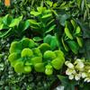 50x50CM Home Decor Lawn Carpet Artificial Plant Wall Panel Flower Wall UV Protection