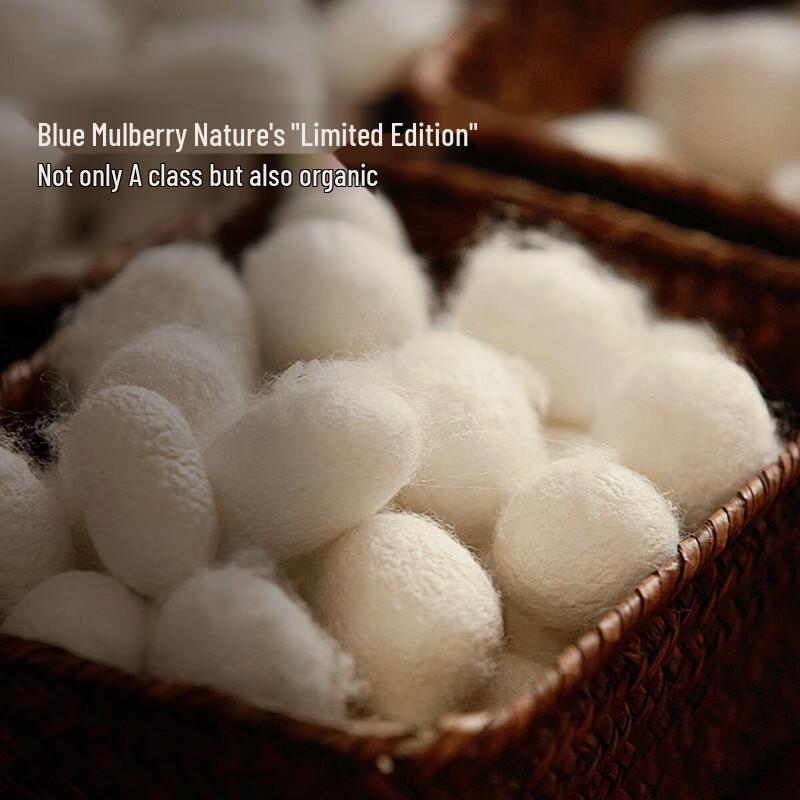 Mercury Home Textiles Qing Sang Tussah Silk Quilt