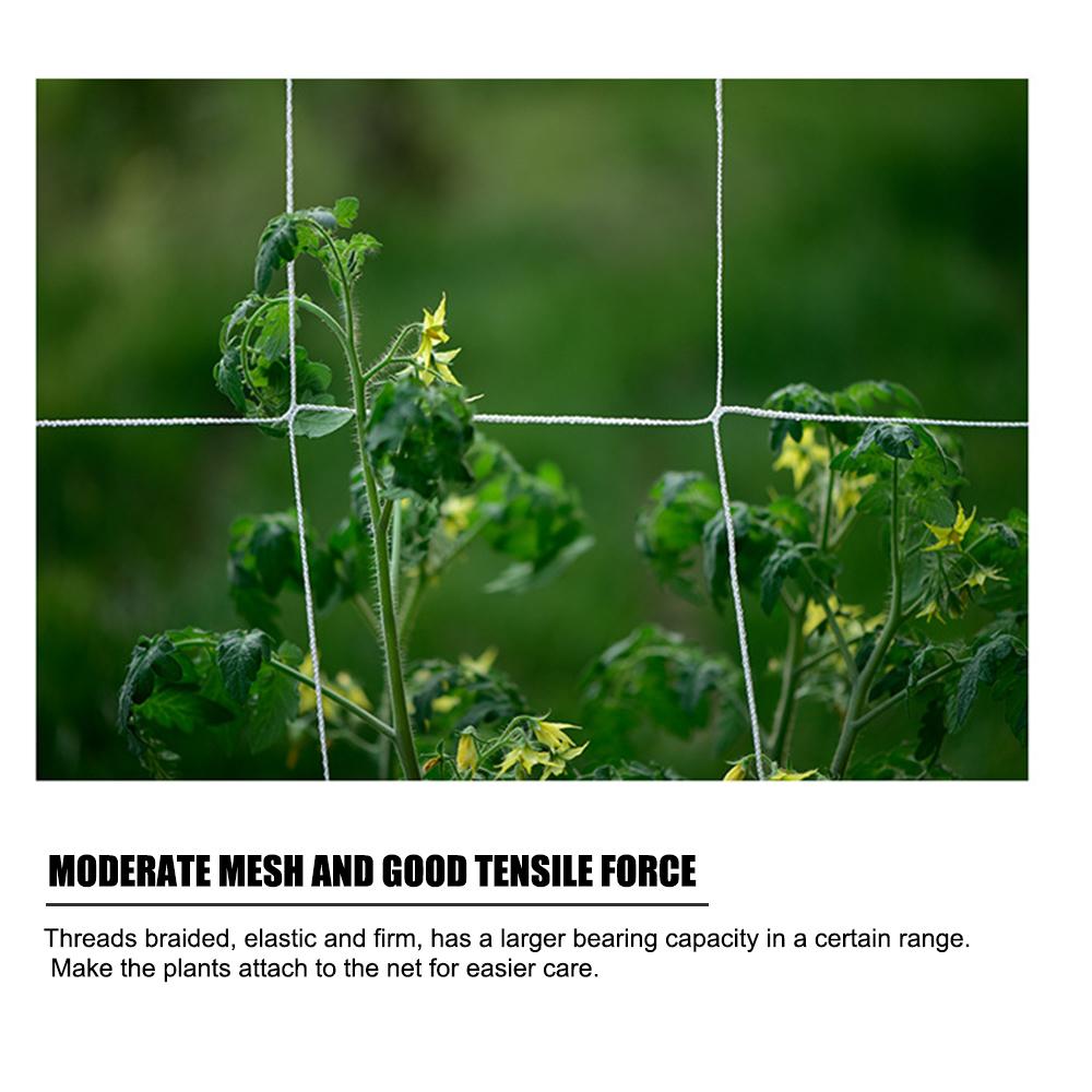 Plant Trellis Netting Polyester Climbing Net Grow Net Braided Mesh for Climbing Fruits Grapes Vegetables Cucumber Pea Bean Hydroponics Heavy-Duty