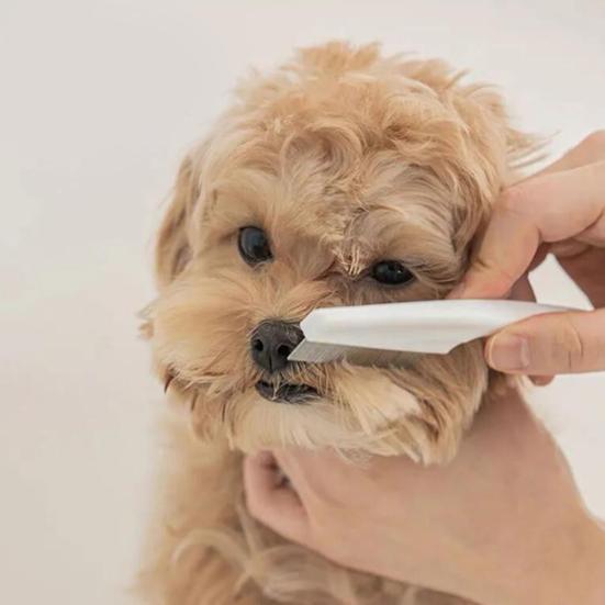 Pet Hair Comb Convenient Pet Dog Wear-resistant Labor-saving Cleaning Brush Cat Hair Pet Supplies