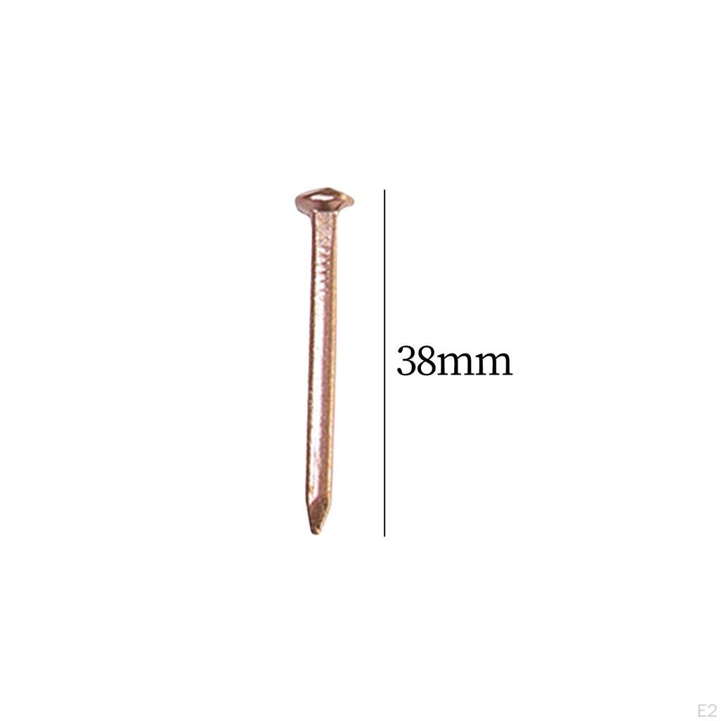 10 шт. медных гвоздей для домашних проектов и ландшафтных шиферных шипов