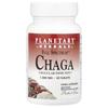 Full Spectrum™ Chaga Mushroom, 1,000Mg, 30 Tablets
