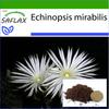 Цветок Поклонения - 40 семян - С горшечным субстратом для лучшего выращивания - Echinopsis mirabilis