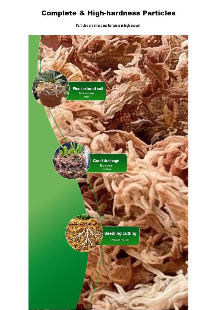 Chilean Five-Star Sphagnum Moss: Water-Retentive, Breathable Medium for Orchids, Carnivorous Plants, Ferns, Dendrobiums, and Reptile Bedding