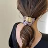 Korean Metal Satin Large Intestine Ring Women Rubber Bands Hair Ties Hair Rope Girls Ponytail Holder Headdress Hair Accessories