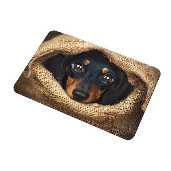 Yousheng Реалистичный коврик для пола с животными 3D ковер с оптической иллюзией Коврик для входа с милым котом Нескользящий коврик для собак для ванной комнаты, кухни, гостиной, спальни