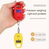 25Kg 5g Mini Digital Scale Electronic Fishing Weight Pocket Luggage Scales Hanging Hook Mini LCD Weighing Scale