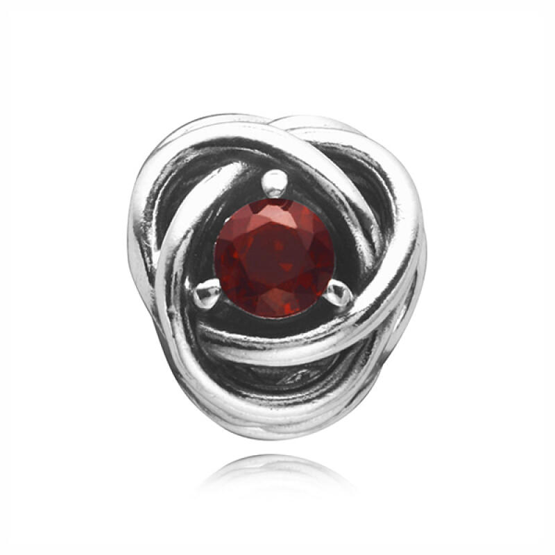 Pandora Charm Eternity Circle Birthstone January 790065C06