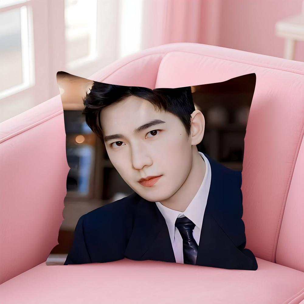 actor handsome YYang Yang Cushion Cover Pillow Case Soft Skin Friendly Fabric Concealed Zipper