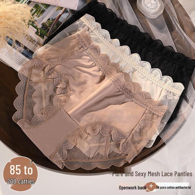 Langsha Plus Size Women's Sexy Lace French Briefs (3-Pack)