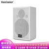 KAXISAIERS S80 8-дюймовый профессиональный конференц-динамик, штекер CN (адаптер в комплекте)
