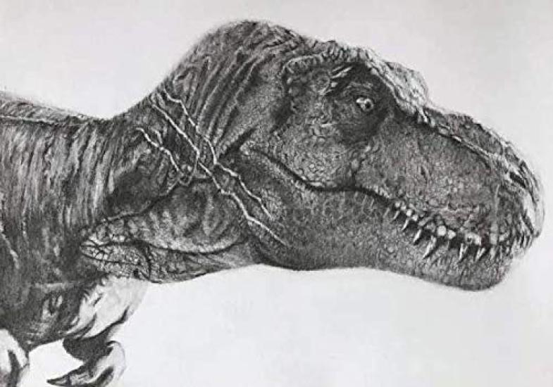 SanDoll Dinosaur Figure Realistic Model Jurassic Period 30cm Class Reptile Impressive Carnivorous Children Toy Present Display Type (Tyrannosaurus 1)